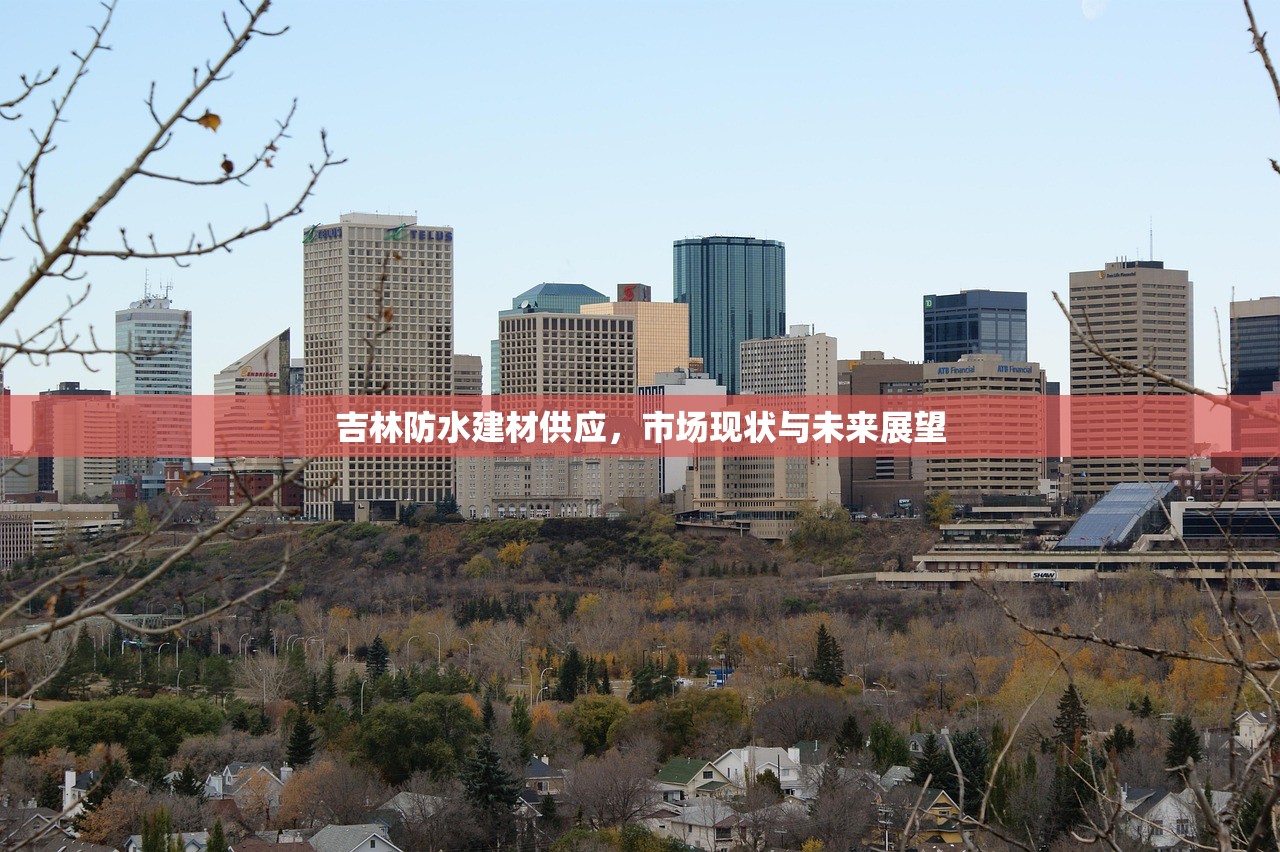 吉林防水建材供应，市场现状与未来展望