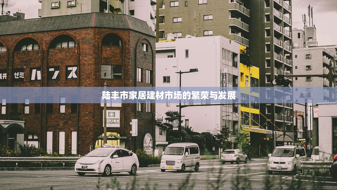 陆丰市家居建材市场的繁荣与发展