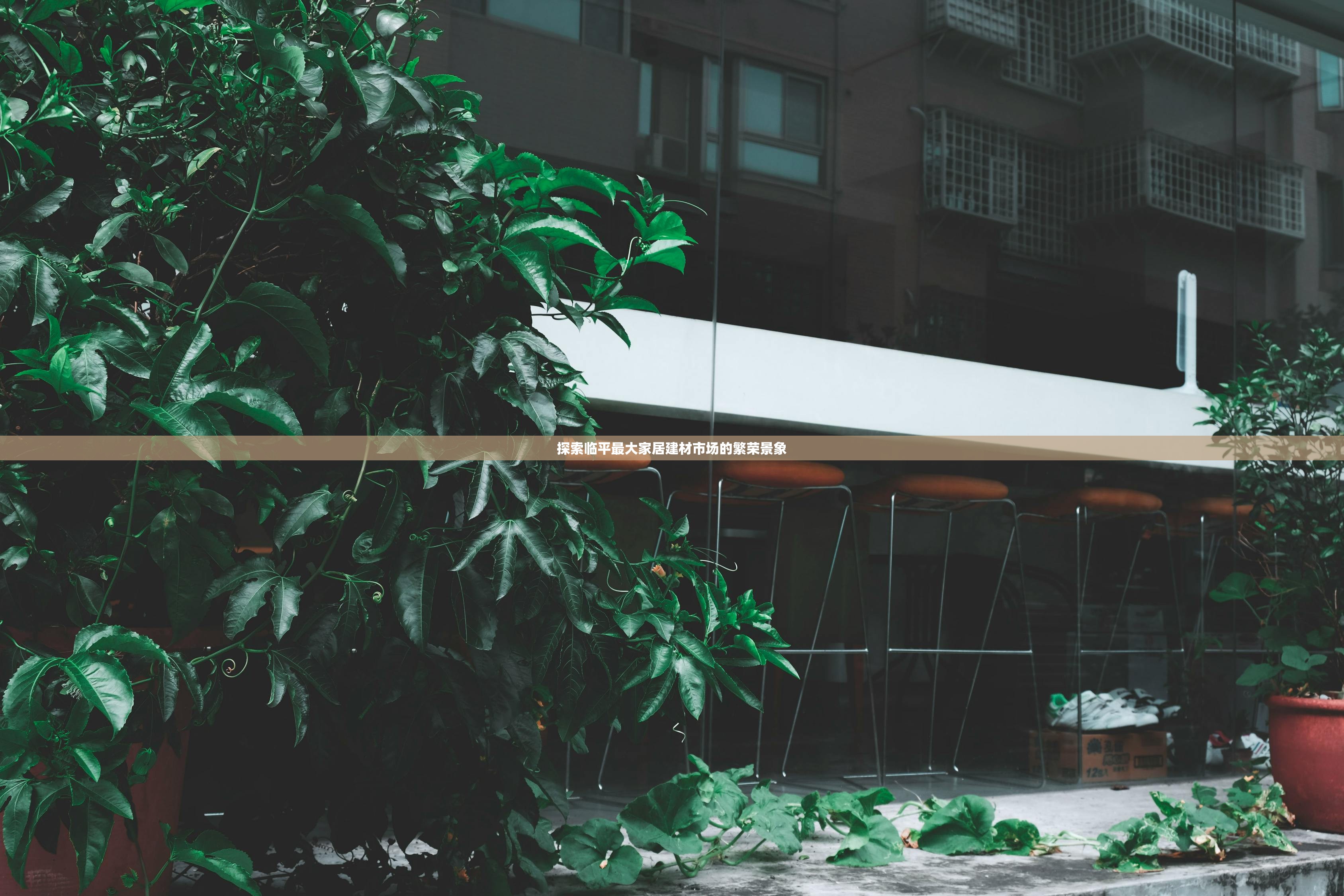 探索临平最大家居建材市场的繁荣景象
