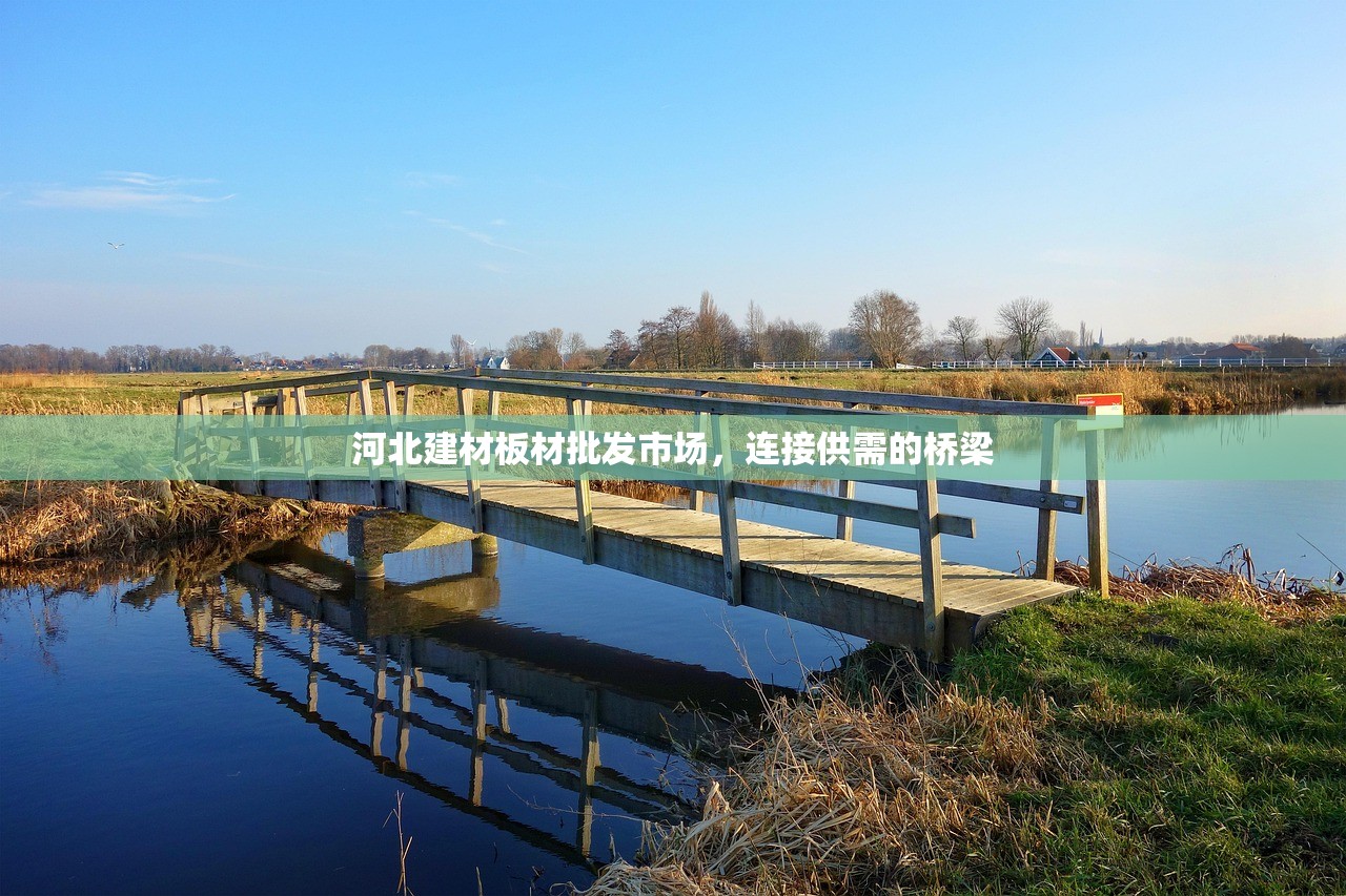 河北建材板材批发市场，连接供需的桥梁