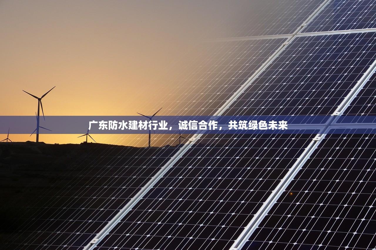 广东防水建材行业，诚信合作，共筑绿色未来