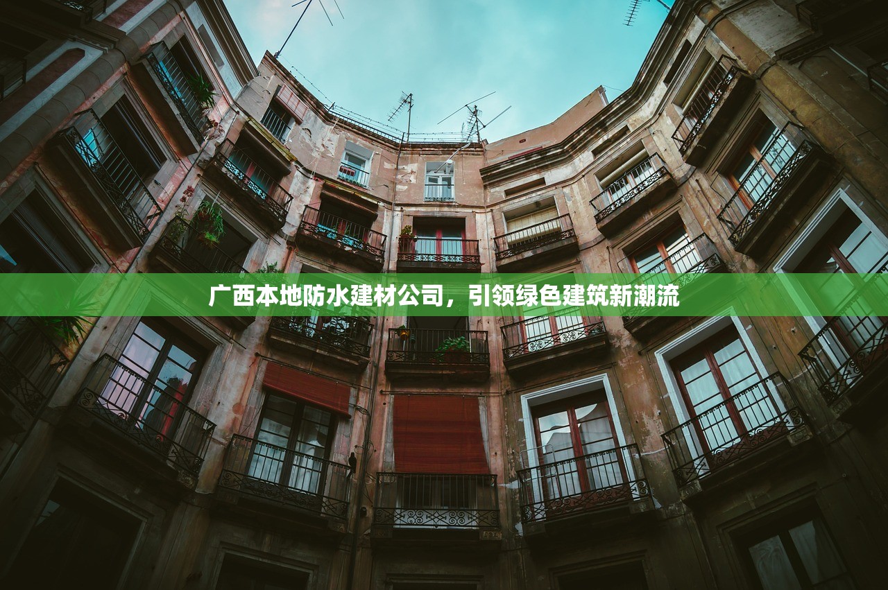 广西本地防水建材公司，引领绿色建筑新潮流