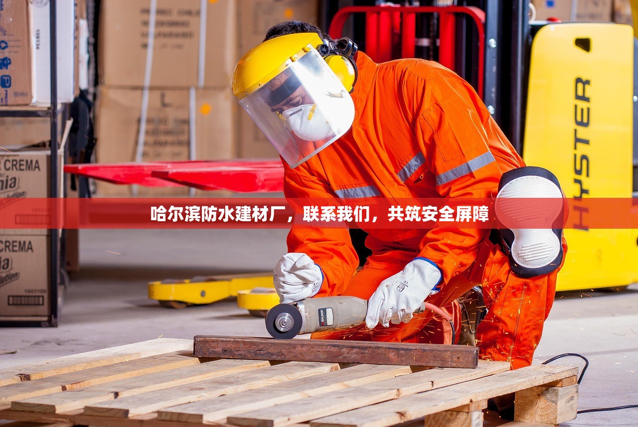 河北防水家装建材设备厂家，引领绿色建筑新潮流