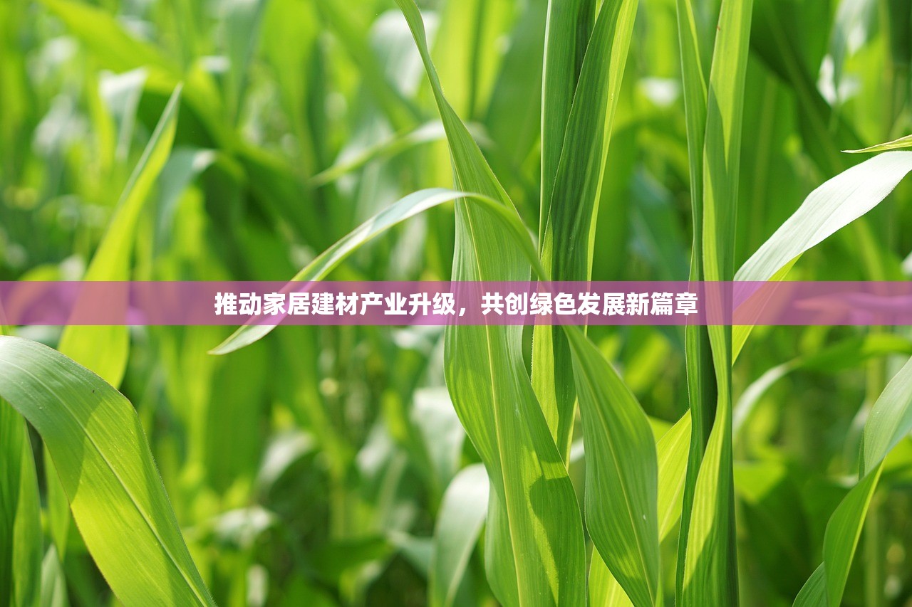 推动家居建材产业升级，共创绿色发展新篇章