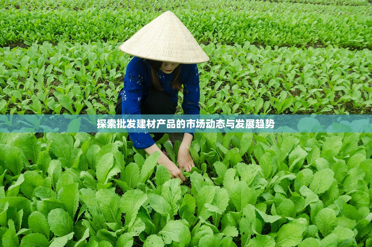 探索批发建材产品的市场动态与发展趋势