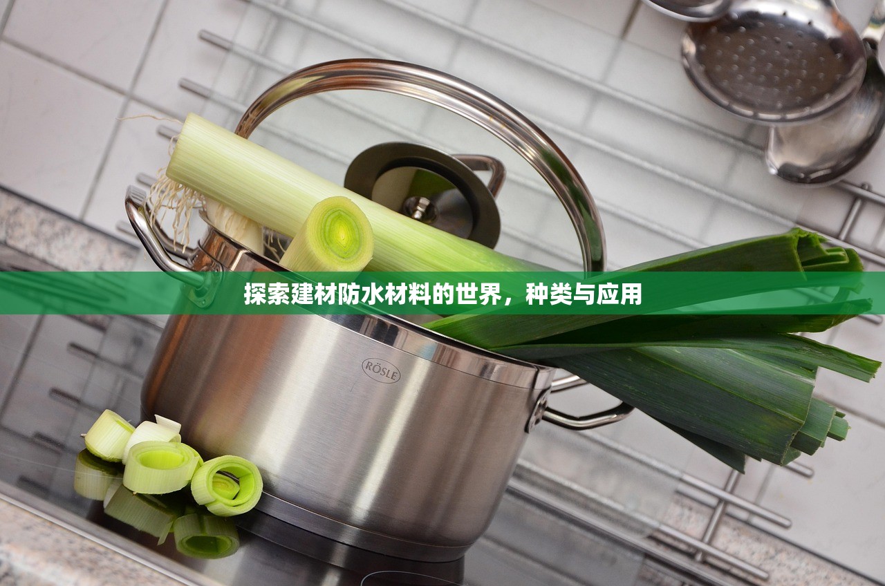 探索建材防水材料的世界，种类与应用