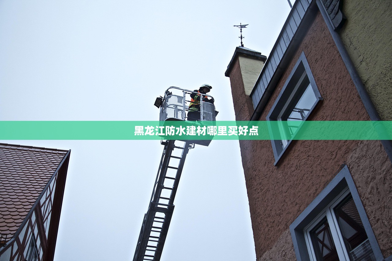 黑龙江防水建材哪里买好点