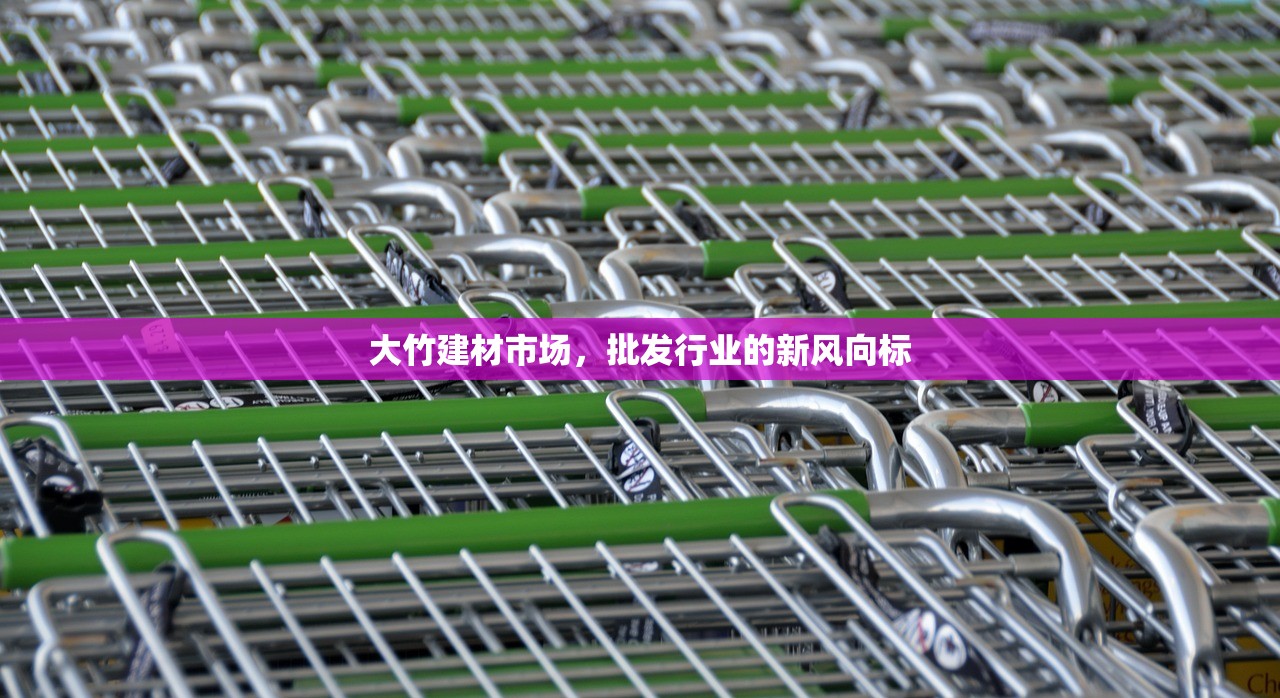 大竹建材市场，批发行业的新风向标