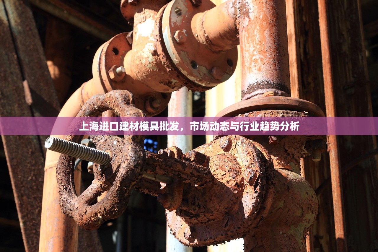 上海进口建材模具批发，市场动态与行业趋势分析