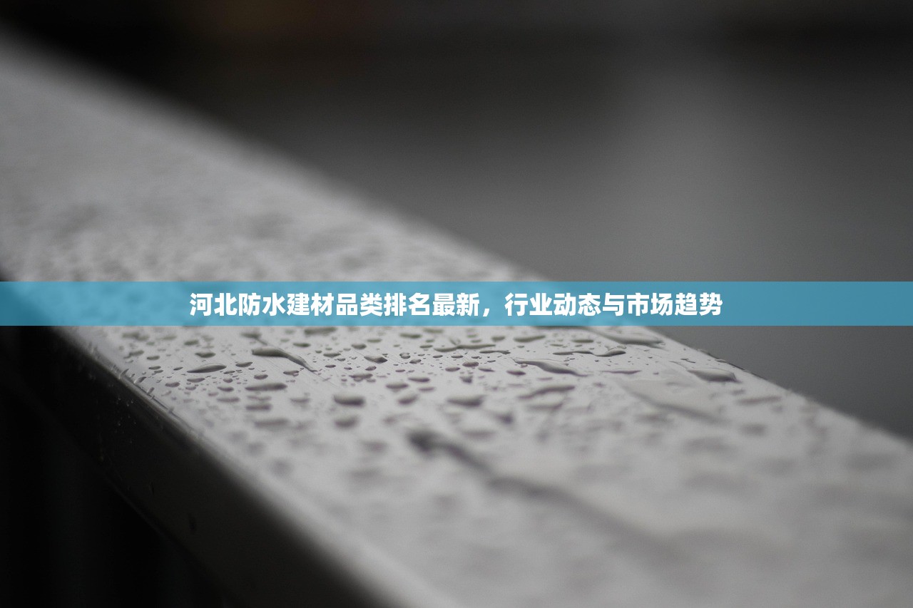 河北防水建材品类排名最新，行业动态与市场趋势