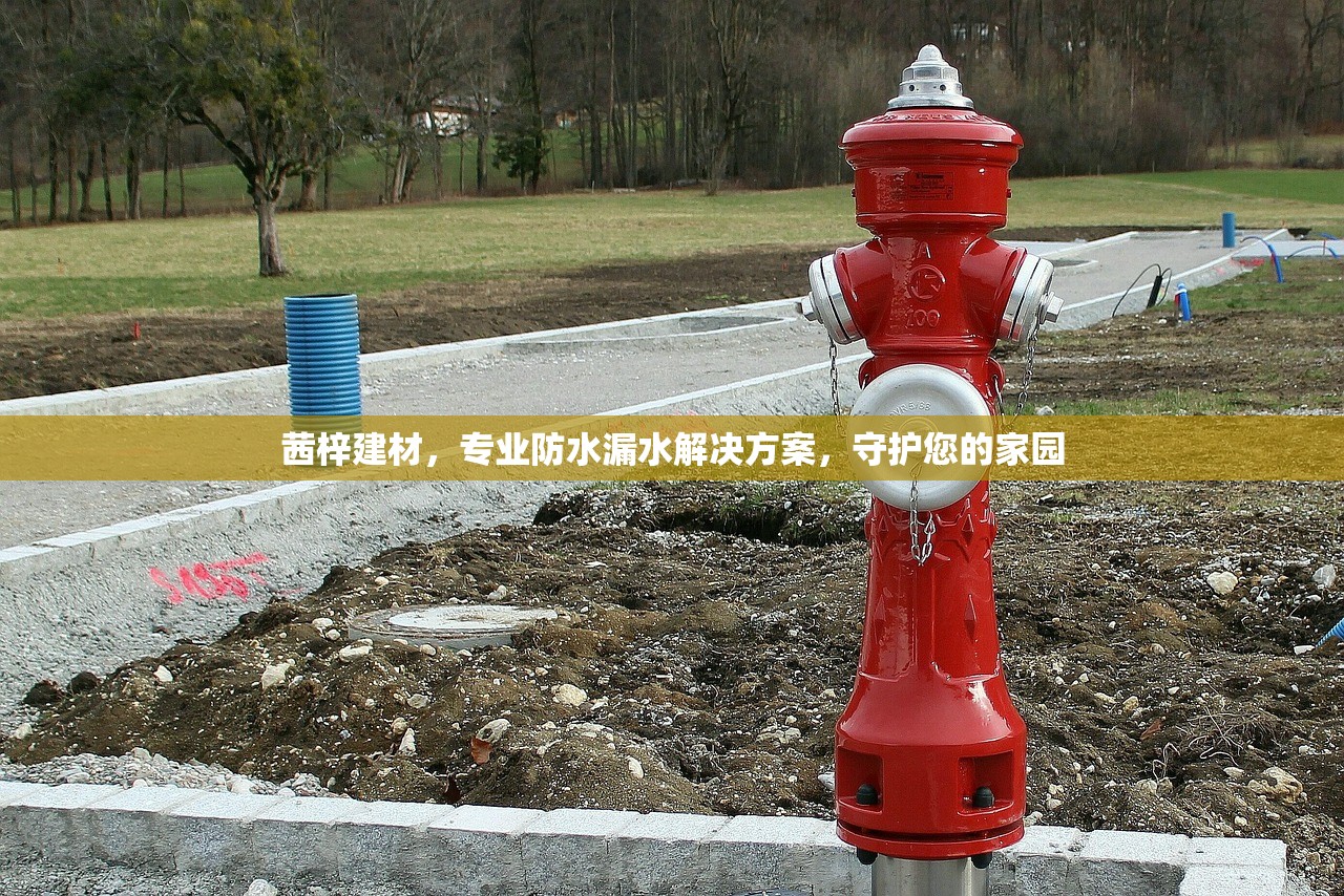 宋良才 第2页