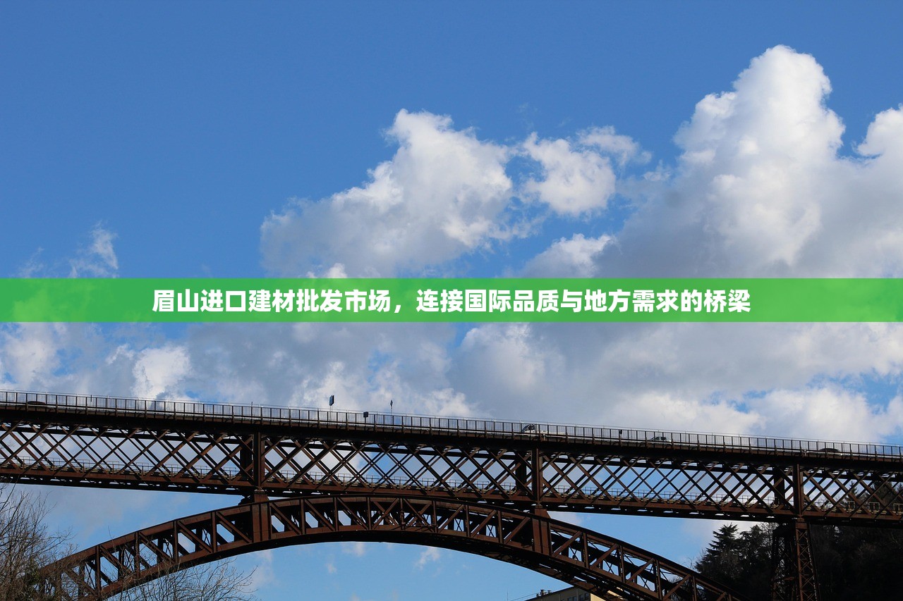 眉山进口建材批发市场，连接国际品质与地方需求的桥梁