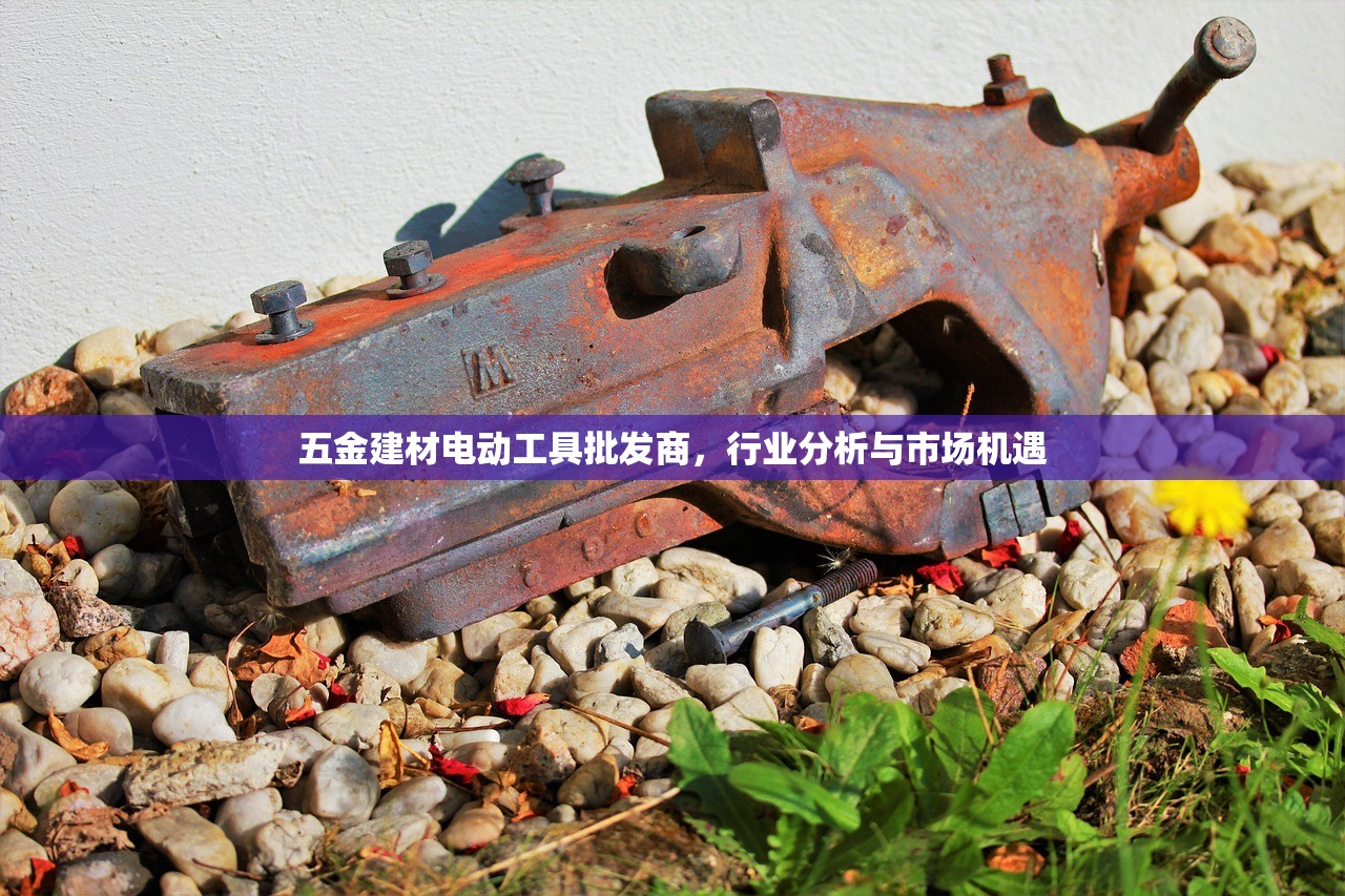 五金建材电动工具批发商，行业分析与市场机遇